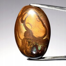 Opal Naturalny Boulder Koroit Nut 35,70ct - video - KOP1132